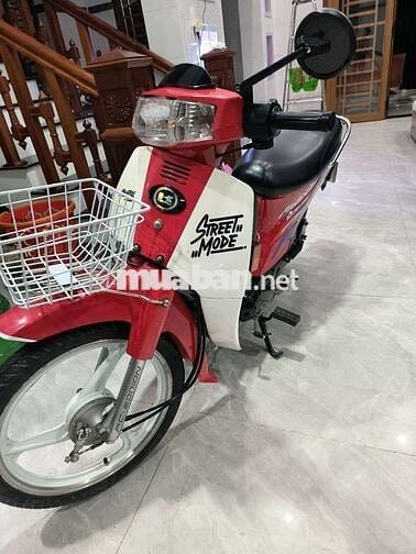 Max YMH cọp