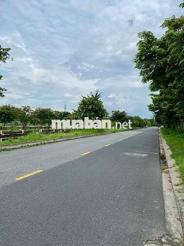 DÁY PHÒNG TRỌ- 6 PHÒNG- DT 112m2(2x22)m 💰Thu nhập 12triệu/ tháng