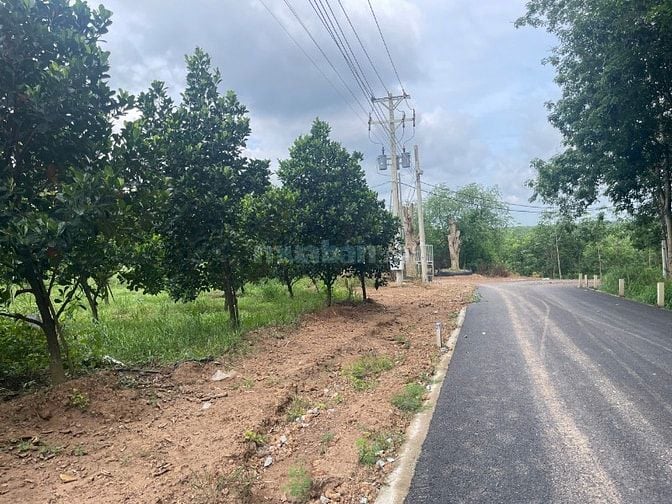 CHú 2 bán lô đất có trái cây sẳn mặt tiền đường nhựa giá 380tr/250m2