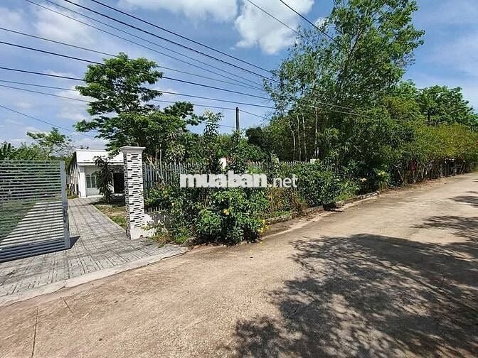 Bán 2549m2 vườn trái cây+ nhà cấp 4