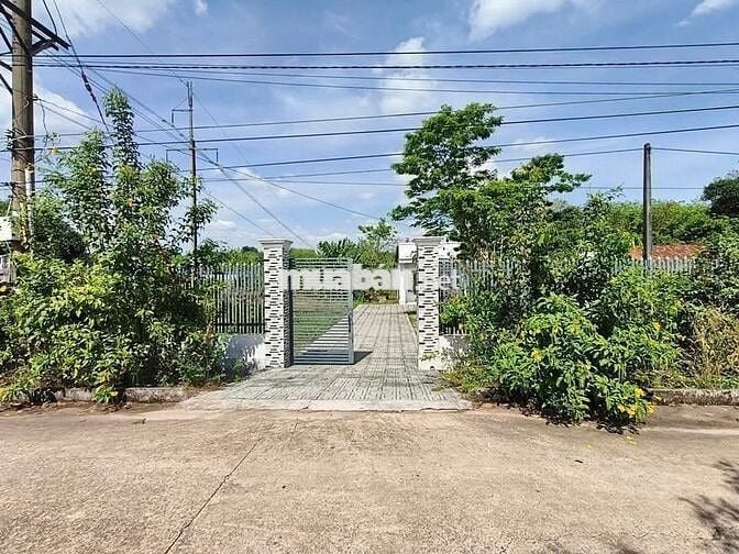 Bán 2549m2 vườn trái cây+ nhà cấp 4