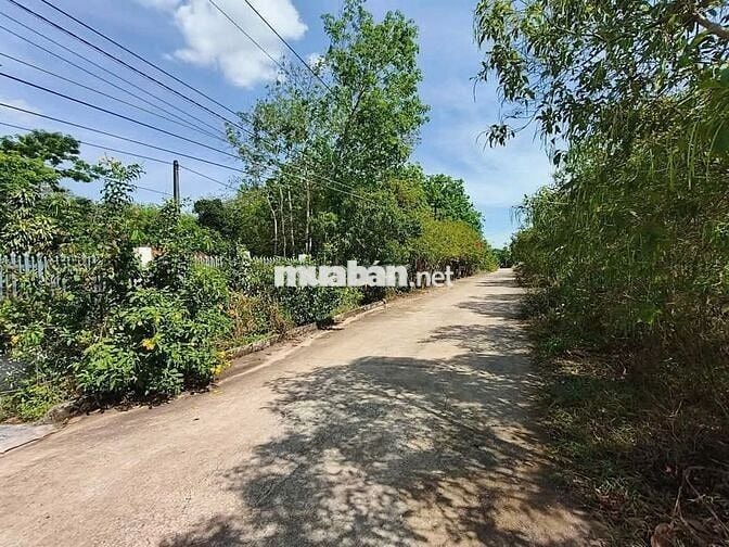 Bán 2549m2 vườn trái cây+ nhà cấp 4