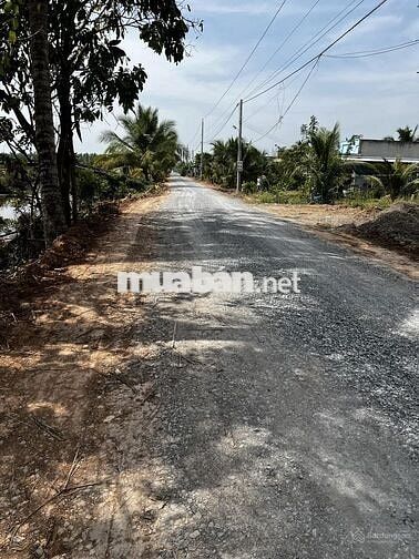 Cần tiền bán nhanh 1200m2 đất cây lâu năm tại Bến Lức Long An
