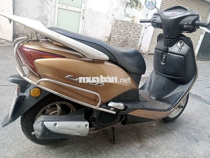 Xe ngon giá rẻ