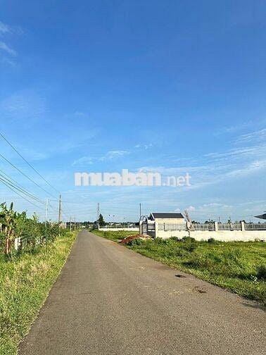 BÁN ĐẤT MẶT TIỀN ĐƯỜNG SỐ 15 HÒA LONG SIÊU NGỘP 164M2/1TY350