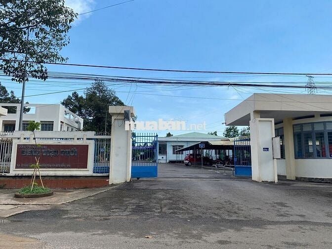 Chính Chủ Bán Đất Nền Mặt Tiền Sổ Riêng Gần Chợ Tân Mai 2 Phước Tân