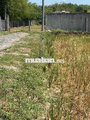 CHÍNH CHỦ BÁN LÔ ĐẤT GẦN KHU CÔNG NGHIỆP ĐỨC HOÀ