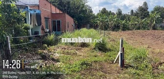 Bán đất sau chợ An Long. Đúng giá 420 triệu (SHR), oto vào tận đất