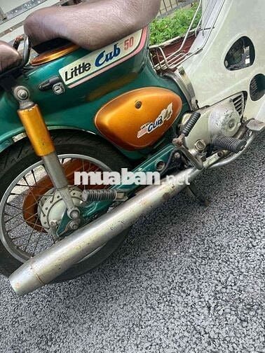 bán cup 50 biển số thành phố
