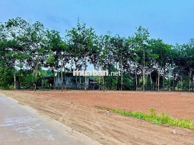 🏠 Đất Vàng Long Hà – Thích Hợp An Cư & Đầu Tư Bền Vững 🏠