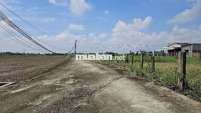 Thổ cư 2mt lô góc 222,7m2 đường gtnt 4m xã Nhựt Tảo Tân Trụ