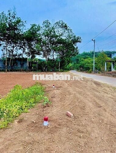 🏠 Đất Vàng Long Hà – Thích Hợp An Cư & Đầu Tư Bền Vững 🏠
