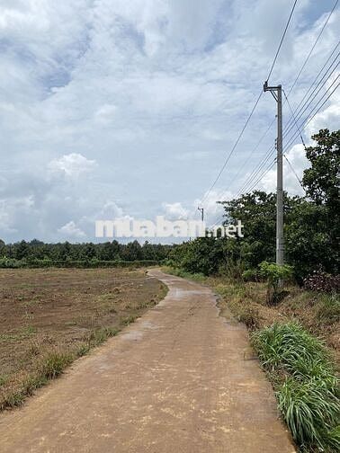 🏠 Đất Vàng Long Hà – Thích Hợp An Cư & Đầu Tư Bền Vững 🏠