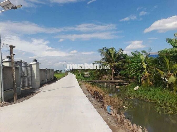Hàng thơm, 1485m2 đất thổ đường nguyễn văn tiết, 1.29 tỷ