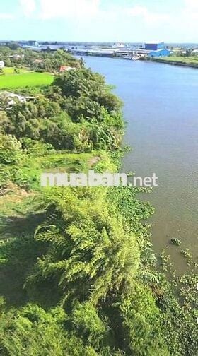 Siêu phẩm, chỉ 600tr sở hữu 1000m2 đất View Sông