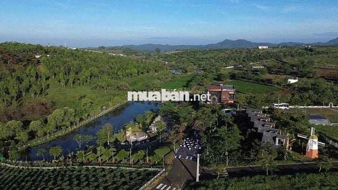 Ngợp 165m2 thổ cư ngay hồ Bảo Lộc, kế homestay giá 950tr