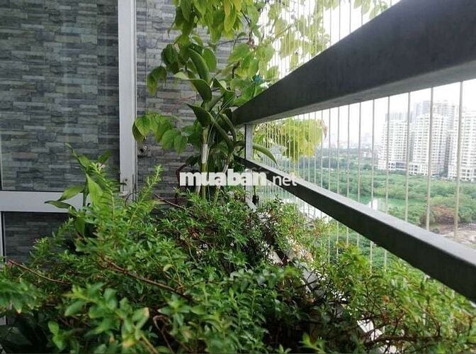 Bán Chung cư C14 Bắc Hà Tố Hữu 132m, 3 ngủ 3wc có 2 ban công view đẹp