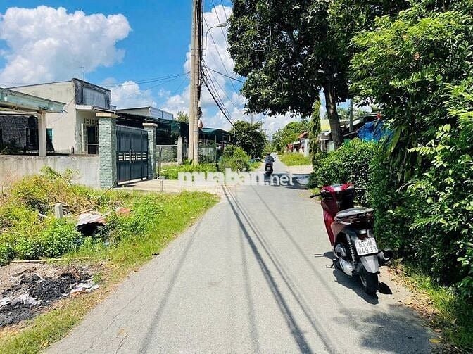 BÁN DÙM CHÚ NĂM LÔ ĐẤT SÁT CHỢ TÂN THÔNG HỘI CỦ CHI - 590 TRIỆU
