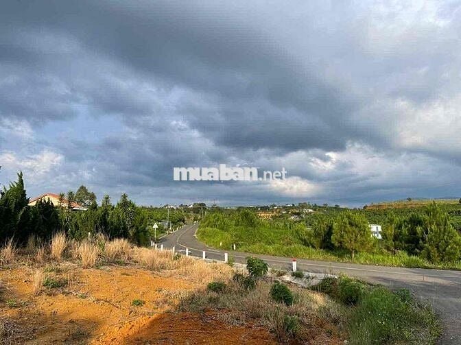 View hồ Mai Thành - Phường Lộc Tiến- TP.Bảo Lộc DT 21x58m quy hoạch TC