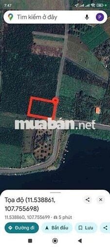 View hồ Mai Thành - Phường Lộc Tiến- TP.Bảo Lộc DT 21x58m quy hoạch TC