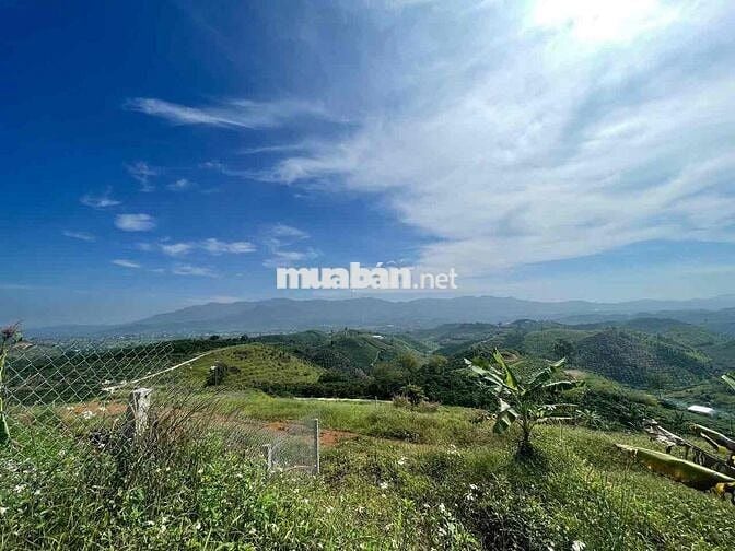 VIEW ĐỒI BÁT ÚP - KHU PHẠM HỒNG THÁI - ĐẠI LÀO TP.BẢO LỘC DT 1384M2