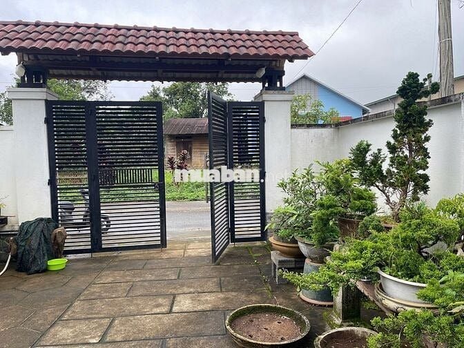 NHÀ BIỆT THỰ KHU LÊ PHỤNG HIỂU - BẢO LỘC - 13X41M SẴN 233M2 THỔ CƯ