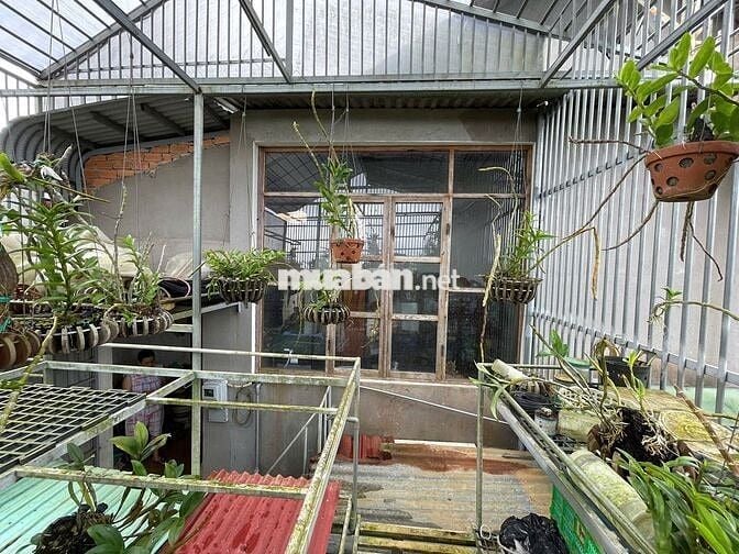 NHÀ BIỆT THỰ KHU LÊ PHỤNG HIỂU - BẢO LỘC - 13X41M SẴN 233M2 THỔ CƯ