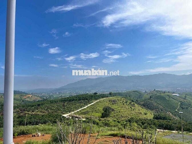 VIEW ĐỒI BÁT ÚP - KHU PHẠM HỒNG THÁI - ĐẠI LÀO TP.BẢO LỘC DT 1384M2