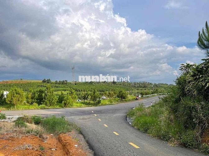 View hồ Mai Thành - Phường Lộc Tiến- TP.Bảo Lộc DT 21x58m quy hoạch TC