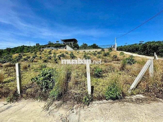 VIEW ĐỒI BÁT ÚP - KHU PHẠM HỒNG THÁI - ĐẠI LÀO TP.BẢO LỘC DT 1384M2
