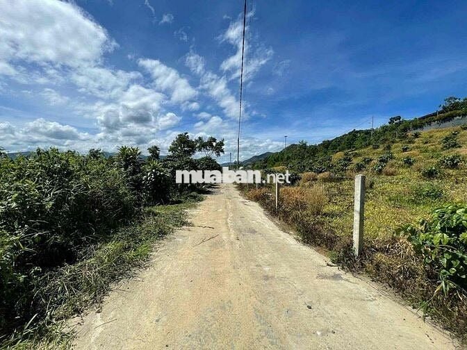 VIEW ĐỒI BÁT ÚP - KHU PHẠM HỒNG THÁI - ĐẠI LÀO TP.BẢO LỘC DT 1384M2