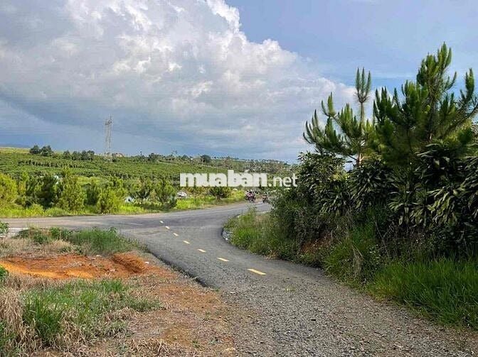 View hồ Mai Thành - Phường Lộc Tiến- TP.Bảo Lộc DT 21x58m quy hoạch TC