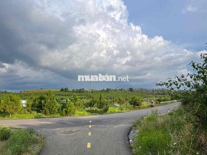 View hồ Mai Thành - Phường Lộc Tiến- TP.Bảo Lộc DT 21x58m quy hoạch TC