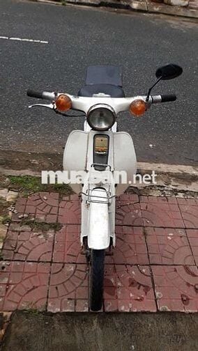 50c ko cần bằng lái