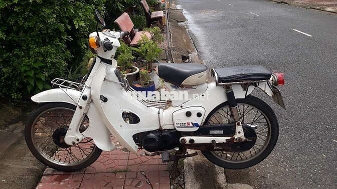 50c ko cần bằng lái