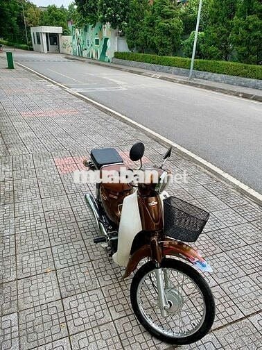 Cúp 50 Phân khối như mới