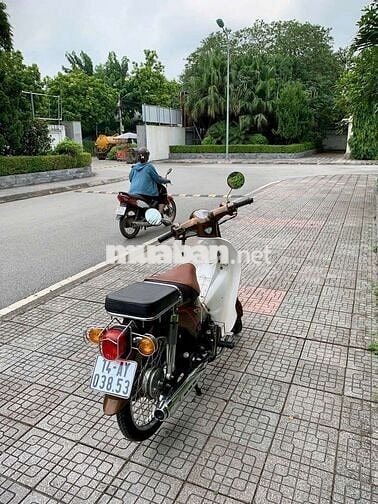 Cúp 50 Phân khối như mới