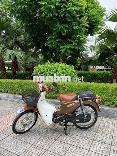 Cúp 50 Phân khối như mới