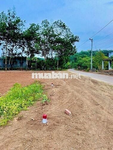 Đất giá rẻ 290 triệu mặt tiền đẹp Long Hà, Bình Phước (Đồng Nai)