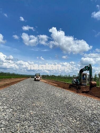 Đất nền sẵn sổ 390m2 mặt tiền đường, Long Hà, Phú Riềng, Bình Phước