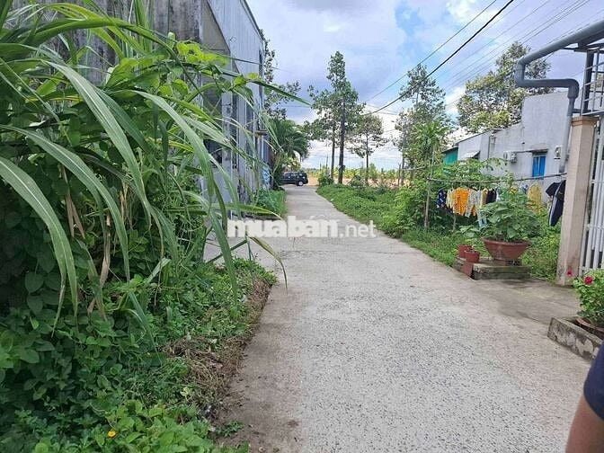 Bán đất thổ cư hẻm dal 5m, hạ tầng đầy đủ