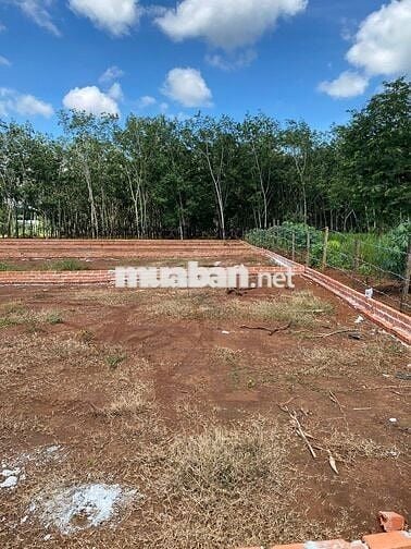 Đất nền sẵn sổ 390m2 mặt tiền đường, Long Hà, Phú Riềng, Bình Phước
