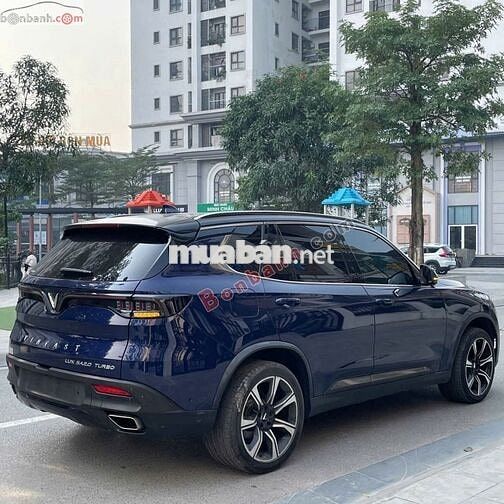 vinfats lux sa 2019 plus
