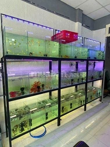 cần tiền nên bán gấp căn nhà 129m2 ở Tân Thông Hội - Củ Chi. Giá 750tr