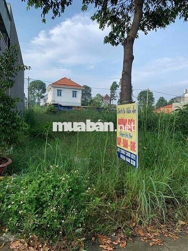 BÁN ĐẤT MẶT TIỀN ĐƯỜNG CHỢ MỸ PHƯỚC 3, THỚI HOÀ, BẾN CÁT, BD