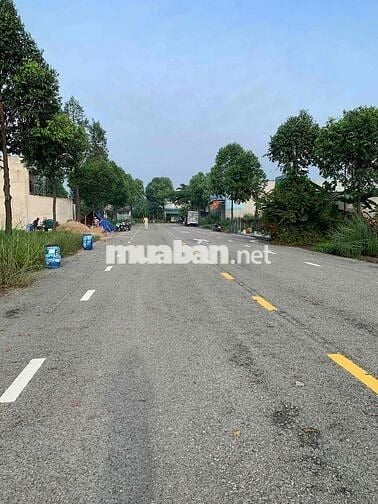 BÁN ĐẤT MẶT TIỀN ĐƯỜNG CHỢ MỸ PHƯỚC 3, THỚI HOÀ, BẾN CÁT, BD