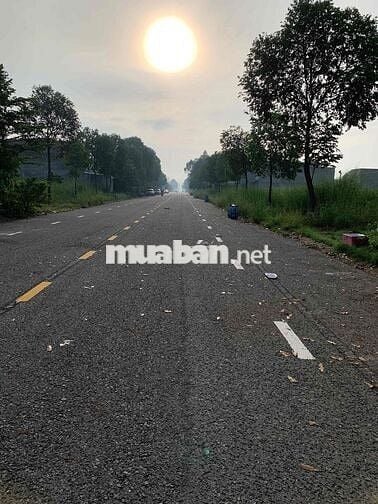 BÁN ĐẤT MẶT TIỀN ĐƯỜNG CHỢ MỸ PHƯỚC 3, THỚI HOÀ, BẾN CÁT, BD