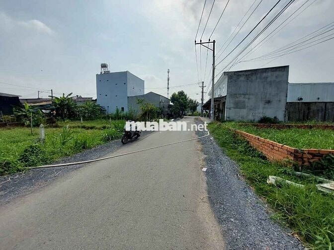 CẦN TIỀN TRẢ NỢ,BÁN ĐẤT 177M2, 430TR, NGUYỄN KIM CƯƠNG, TÂN THẠNH ĐÔNG