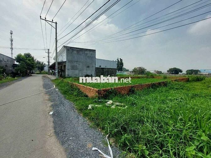 CẦN TIỀN TRẢ NỢ,BÁN ĐẤT 177M2, 430TR, NGUYỄN KIM CƯƠNG, TÂN THẠNH ĐÔNG