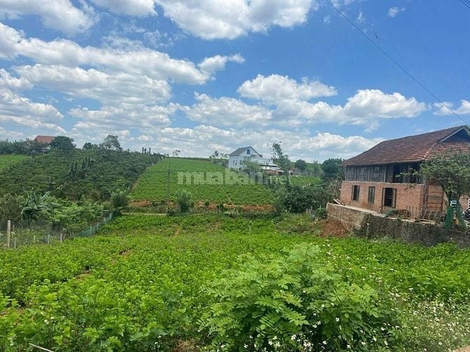 Đất mặt tiền Phùng Hưng – vị trí trung tâm TP Bảo Lộc, full tiện ích